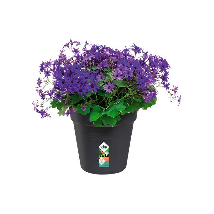 green basics growpot 27cm living black